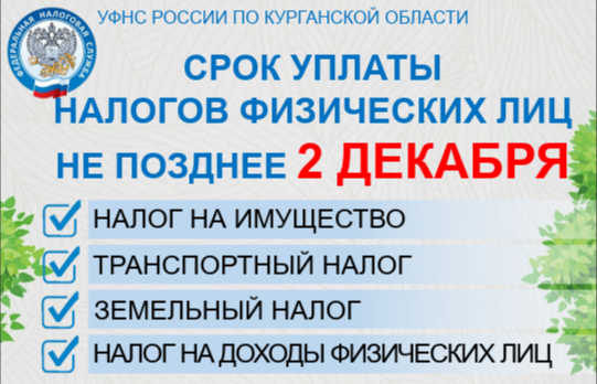 Срок уплаты налогов физических лиц - не позднее 2 декабря.