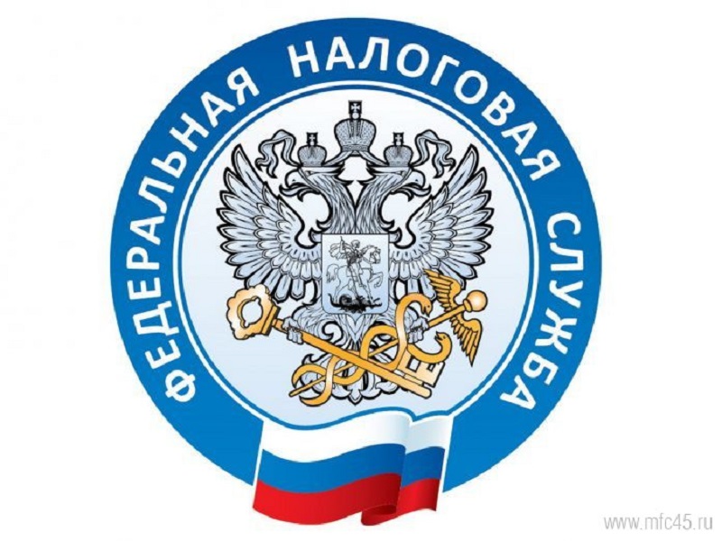 В России стартовала Декларационная кампания 2023 года