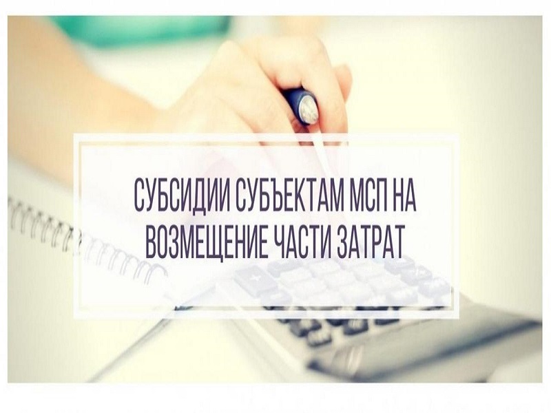 Субсидии на финансовое обеспечение части затрат связанных с приобретением франшизы.