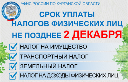 Срок уплаты налогов физических лиц - не позднее 2 декабря. Срок уплаты налогов физических лиц - не позднее 2 декабря.