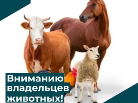 ОТКАЗ ОТ УЧЕТА СЕЛЬСКОХОЗЯЙСТВЕННЫХ ЖИВОТНЫХ МОЖЕТ ПРИВЕСТИ К ВСПЫШКЕ ОПАСНЫХ ИНФЕКЦИЙ.