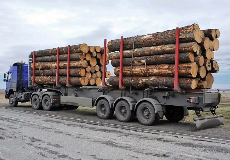 Особенности перевозки отдельных видов древесины грузовым автомобильным транспортом.