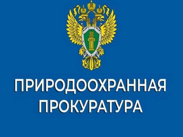 Курганская межрайонная природоохранная прокуратура разъясняет. Курганская межрайонная природоохранная прокуратура разъясняет.